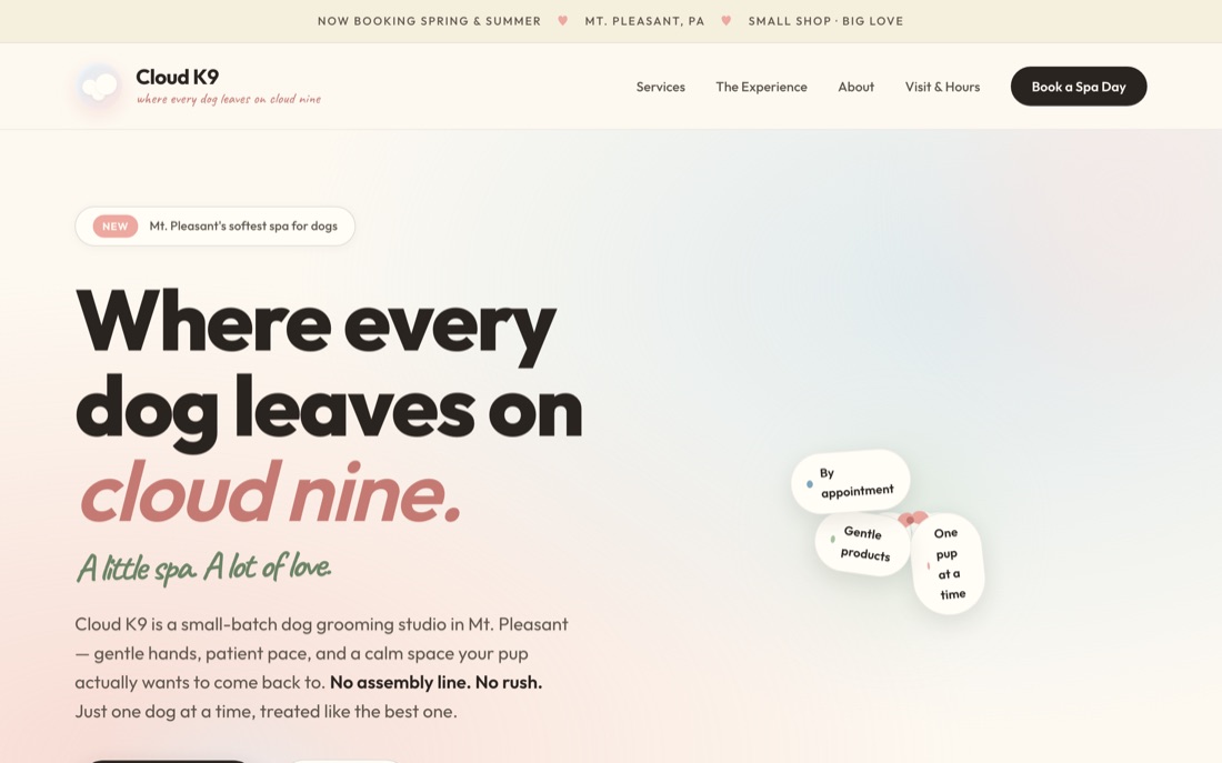 Cloud K9 — website hero preview