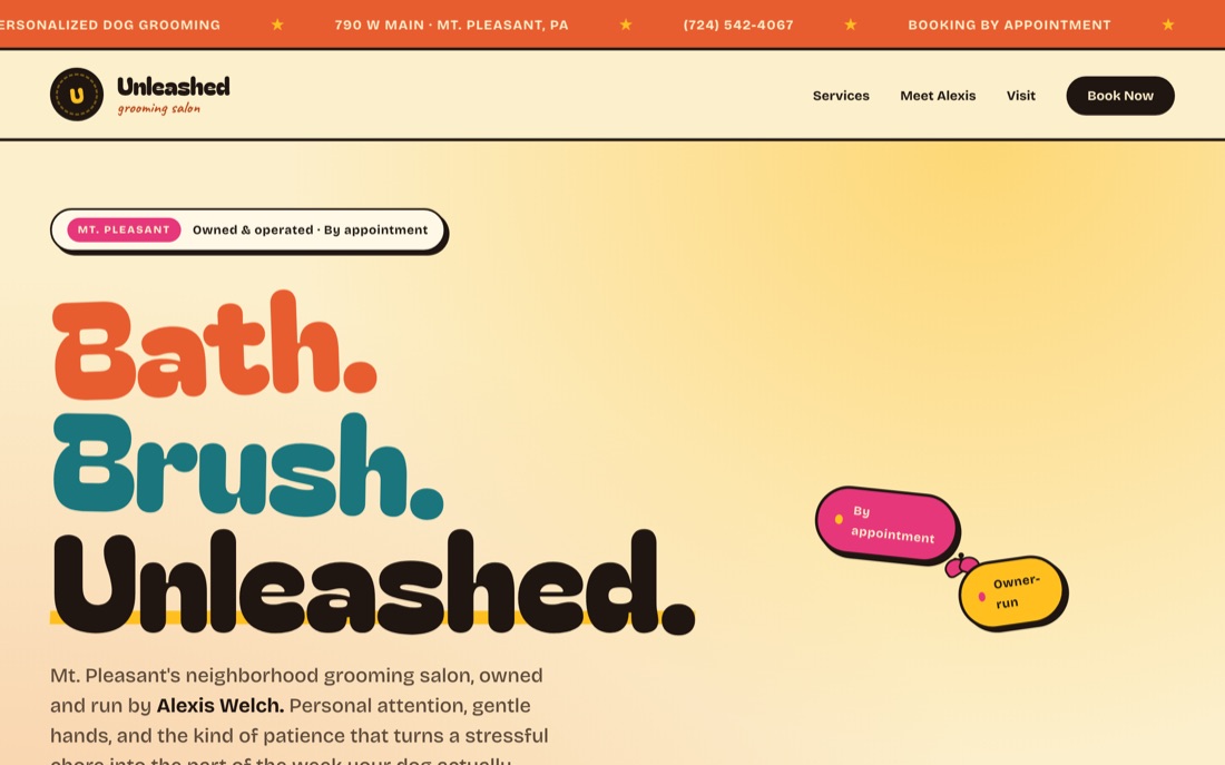 Unleashed — website hero preview